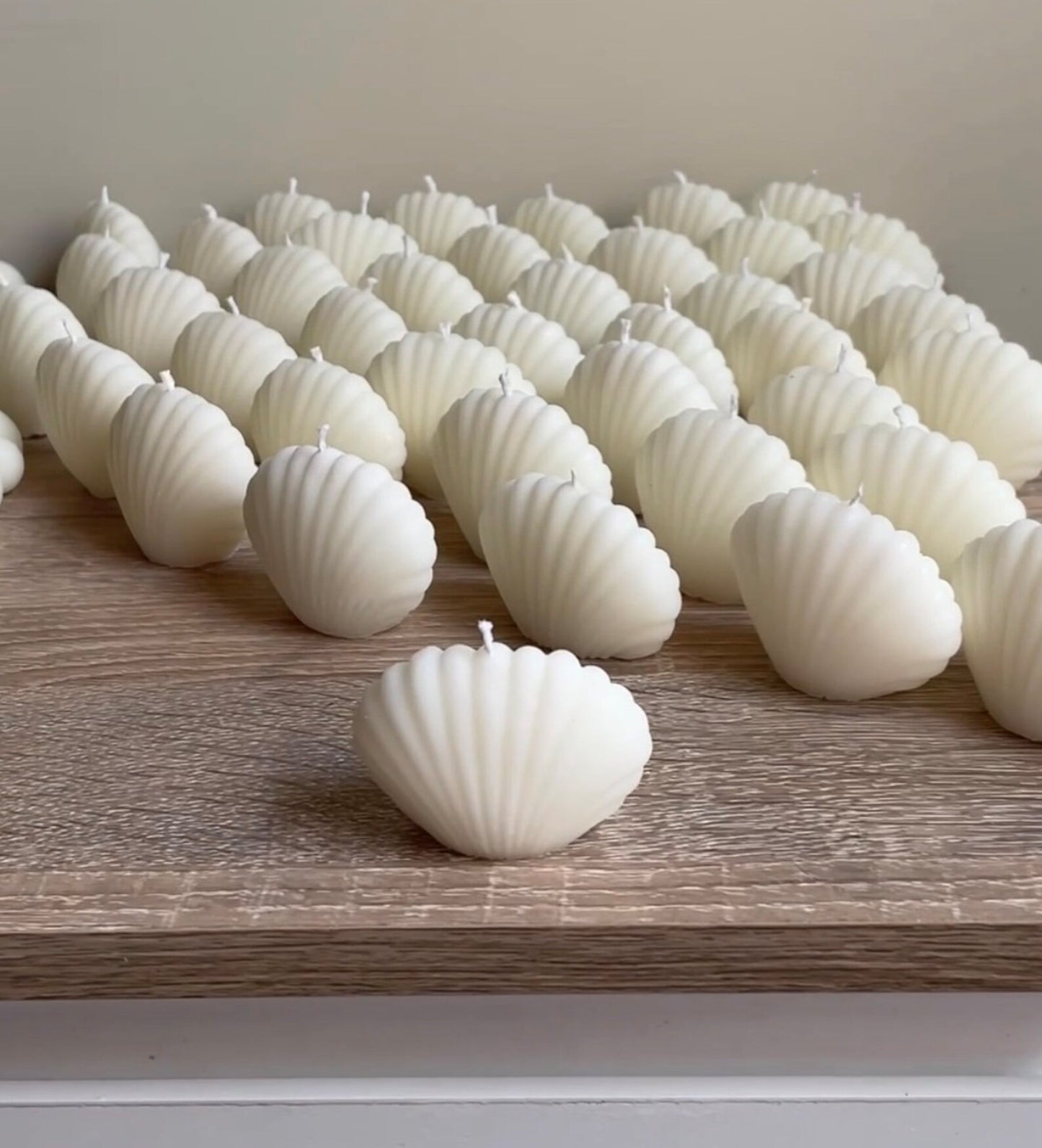 SHELL CANDLES