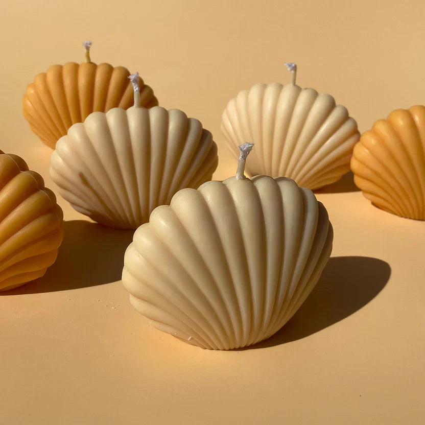 SHELL CANDLES